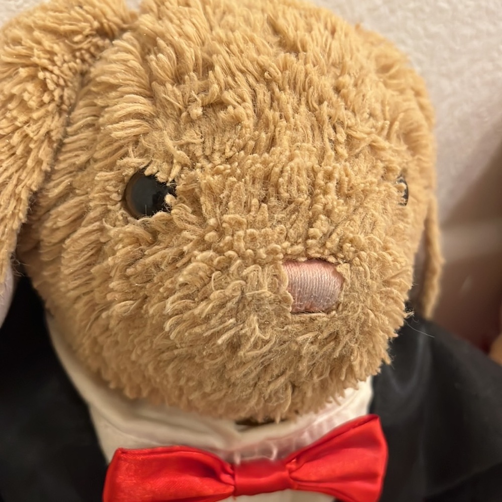 Build a bear set - Picture 4 of 5